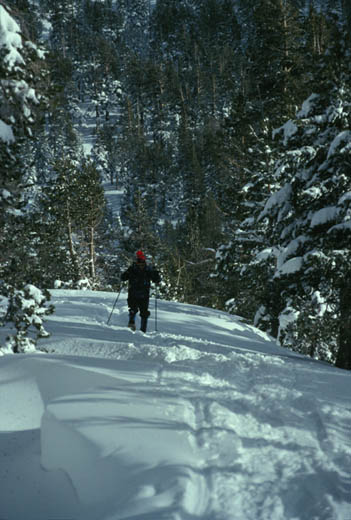 Snowshoer on Mount Rose Trail