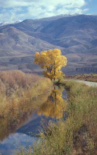 Reflections in the Owens Valley