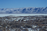 Horses in the Snow at Black Rock Playa