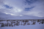 Snow in Paradise Valley