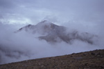 A Trailside Scene on the White Mountain Peak Trail