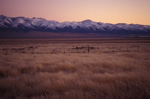 Reese River Grasses Just After Sundown