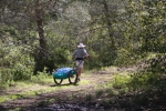 Rickshaw Training for Nevada Walk