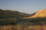 Canyon Camp North of Elko