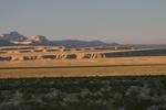 Steppes Near Lake Mead (Soft)